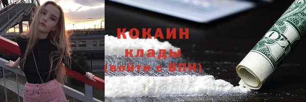 spice Гусев