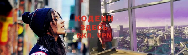 spice Гусев